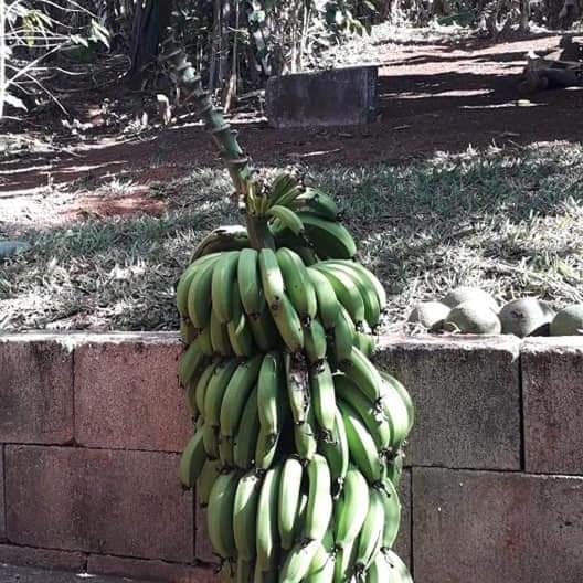 Casa Grande, Bem Espacosa, Em Itambe Do Mato Dentro, Cabeca De Boi Villa Buitenkant foto